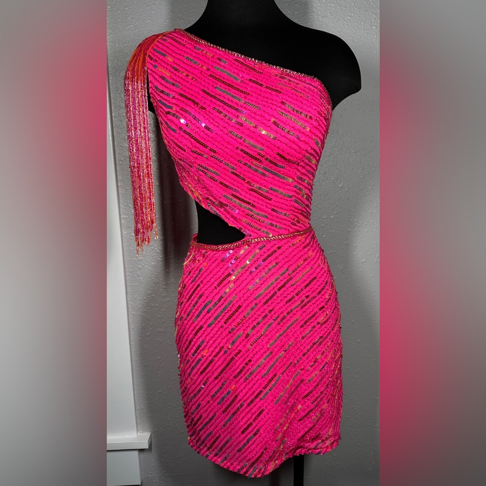 Ashley Lauren Dress Size 4
